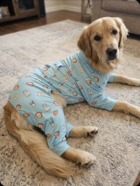 Light Blue Breakfast Print Dog Pajamas